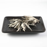 The Wind of LA ホワイトセージ100g