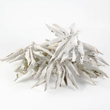 The Wind of LA ホワイトセージ100g